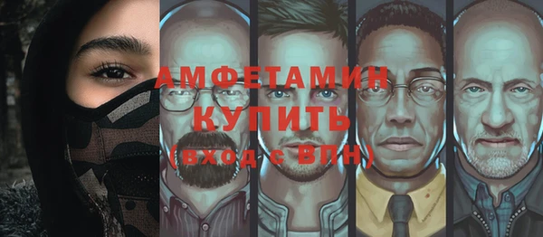 прущие грибы Вязьма