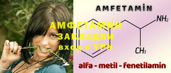 прущие грибы Вязьма