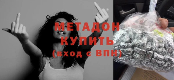 прущие грибы Вязьма