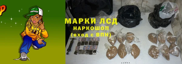 прущие грибы Вязьма