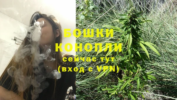 стафф Володарск