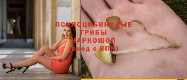 MESCALINE Вяземский