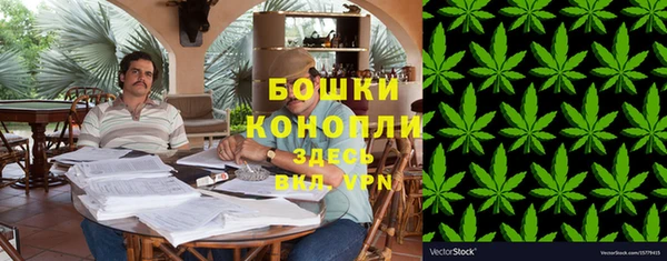 прущие грибы Вязьма