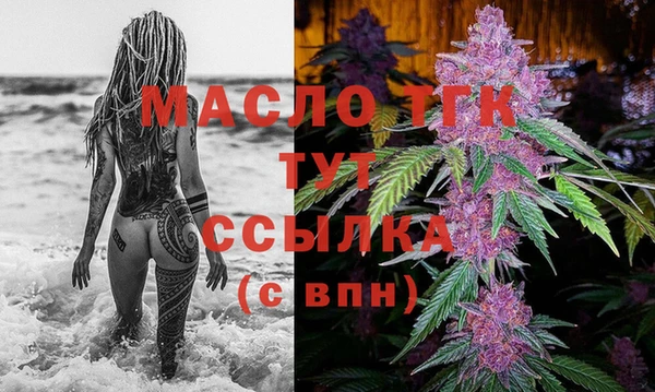 прущие грибы Вязьма