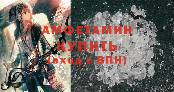 прущие грибы Вязьма
