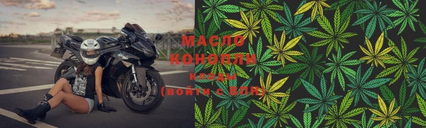 прущие грибы Вязьма