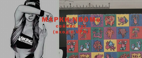 прущие грибы Вязьма