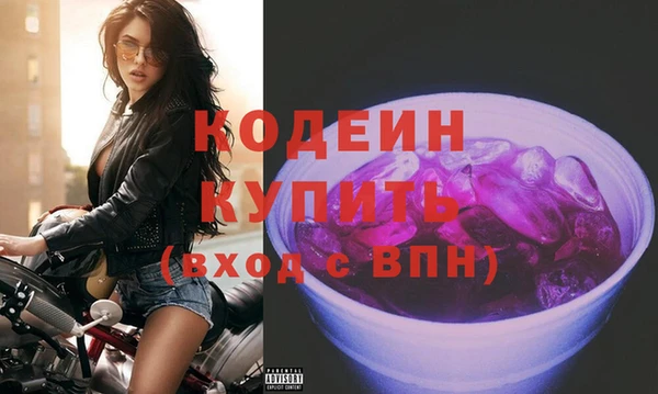 прущие грибы Вязьма