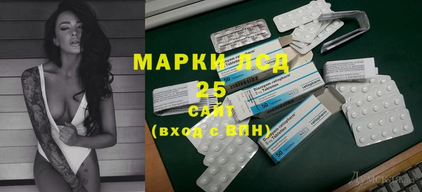 прущие грибы Вязьма