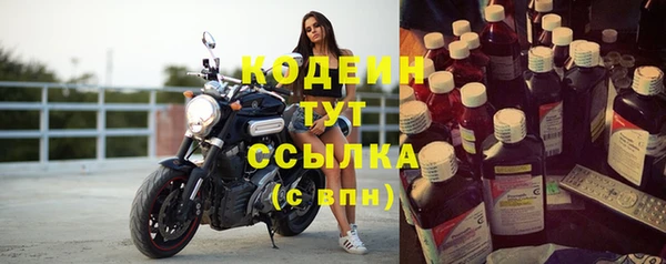 прущие грибы Вязьма