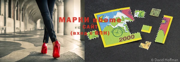 прущие грибы Вязьма