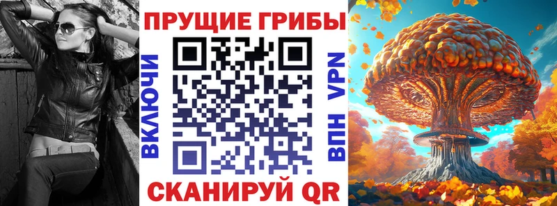 купить наркотики цена  Нижнекамск  блэк спрут ссылки  Псилоцибиновые грибы мухоморы 
